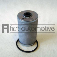 1afirstautomotive d21010