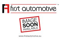 1afirstautomotive e50301