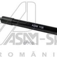 asam-sa 30466