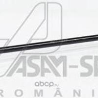 asam-sa 30473