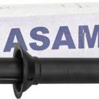 asam 30123