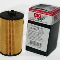 big filter gb1163