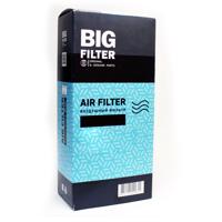 big filter gb9774