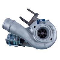 Деталь borgwarner 53039880143