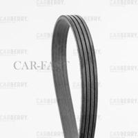 carberry 4pk820