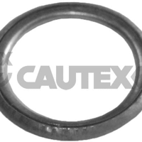 cautex 952023