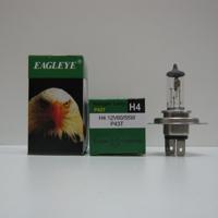 eagleye 4121