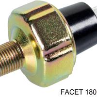 facet 1800035