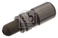 febibilstein 48924