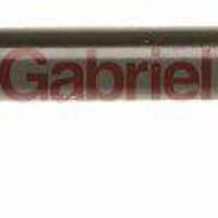 gabriel g44988