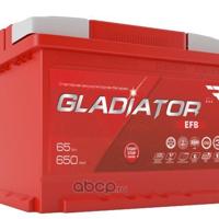 gladiator gef6500
