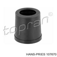 hans pries 107670