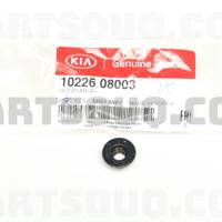 hyundai / kia 1022608003