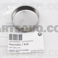 hyundai / kia 1573250003