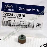 hyundai / kia 2222438010