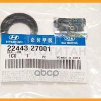 hyundai / kia 2244327001