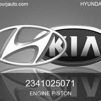 hyundai / kia 2341025071