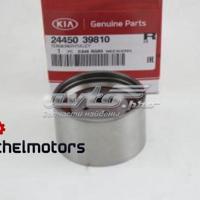 hyundai / kia 2445039810