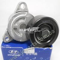 hyundai / kia 2528127060