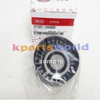 hyundai / kia 2528604050