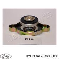 hyundai / kia 2533033000