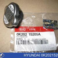 hyundai / kia 2533033101