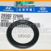 hyundai / kia 2650222600