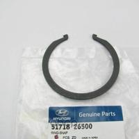 hyundai / kia 5171826500