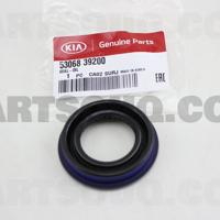 hyundai / kia 5306839200