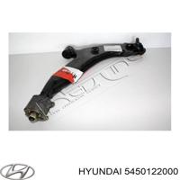 hyundai / kia 545012