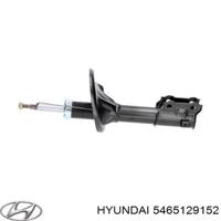 hyundai / kia 5465129152