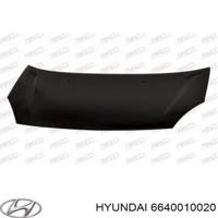 hyundai / kia 6640010020