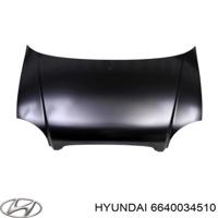 hyundai / kia 6640034510