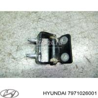 hyundai / kia 7971026001