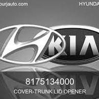 hyundai / kia 8175134000