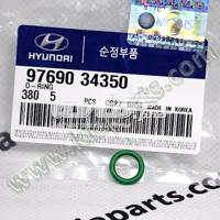 hyundai / kia 9769034350