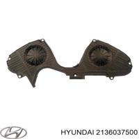 hyundai-kia 2136037500