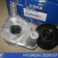 hyundai-kia 2528137120