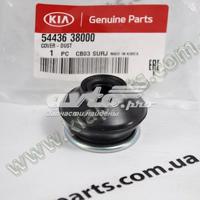 hyundai-kia 5443638000