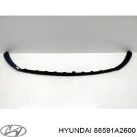 hyundai-kia 86591a2600