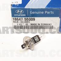 hyundai/kia 1864755009