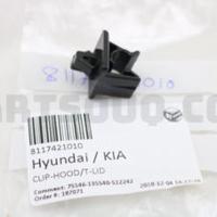 hyundai/kia 8117421010