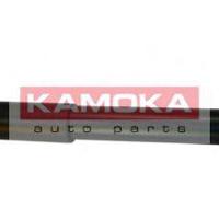 kamoka 20344193