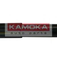 kamoka 20344261