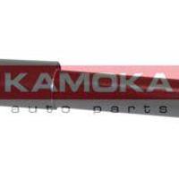 kamoka 20553174