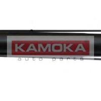 kamoka 20665017