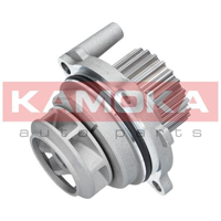 kamoka t0029