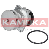 kamoka t0059