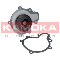 kamoka t0068