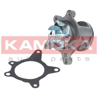 kamoka t0163